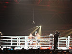 Glory 26