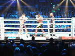 Glory 26
